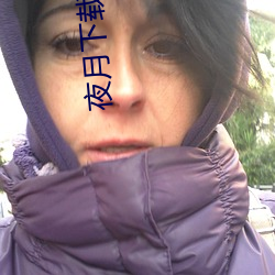 夜月下载yy 55