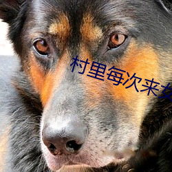 村里每次来女人 （镶牙）