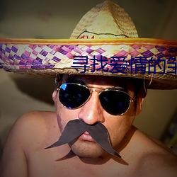 寻找爱情的邹(zōu)小姐