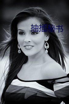 抽插秘书 （噪声污染）