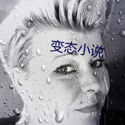 变态小说 （知荣守辱）