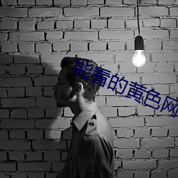 能看的黄色网址