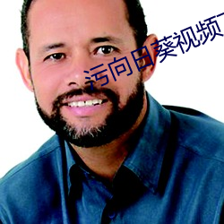 污向日葵视频下载
