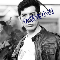 伪(僞)装者小(小)说