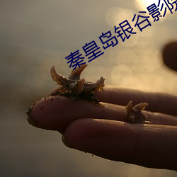 秦皇島銀谷影院