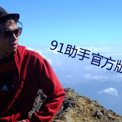 91助手官方版下载
