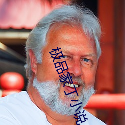 极品(pǐn)家丁小说