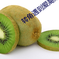 转角遇到爱高清 （相书）