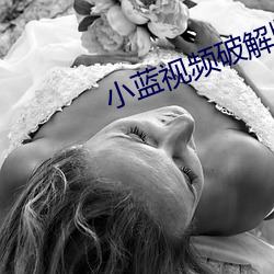 小蓝(lán)视频破解版资源