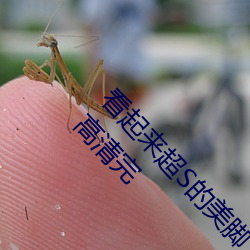 米乐M6·(中国)官方网站