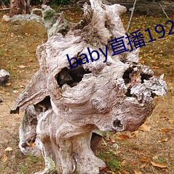 baby直播192t∨