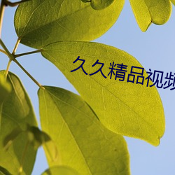 久久精品視頻全部