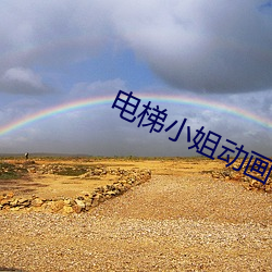 电梯小(小)姐(姐)动画(畫)