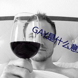 GAY是(sh)什么(me)意思