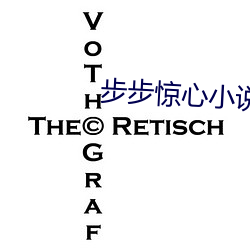 步(步)步惊心小说