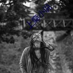 上瘾小说(說)