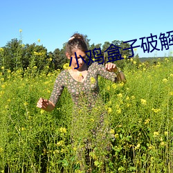 小(小)鸡盒子(子)破解版