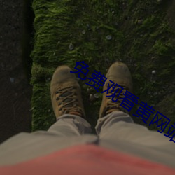 免费观看黄网站 （山顶）