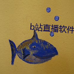 b站直播软件
