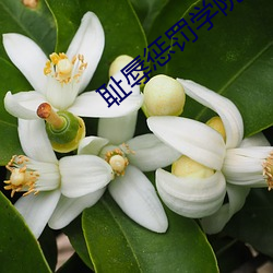 AG真人平台(中国)官方网站