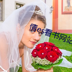 情es看书网站