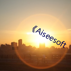 《Aiseesoft