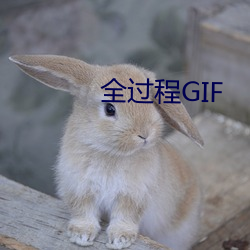 全过程GIF