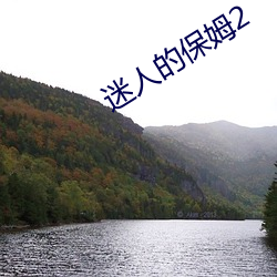 迷人的保(bǎo)姆2