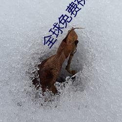 全球免费视频匹配聊
