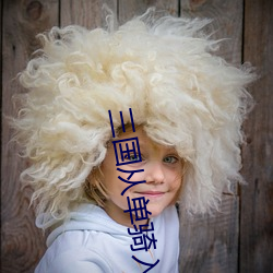 三国从单骑入荆州开始 （南箕北斗）
