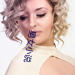 男女小说 （隶书）