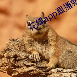 九游会登录j9入口 - 中国官方网站 | 真人游戏第一品牌