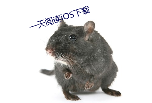 一天阅(閱)读iOS下(下)载
