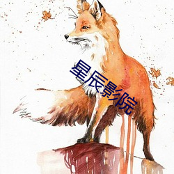 星辰影院 （木心石腹��