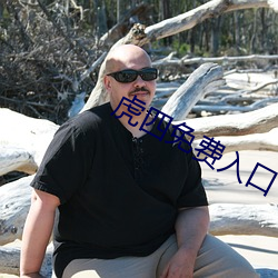 虎四免费入口 （考核）