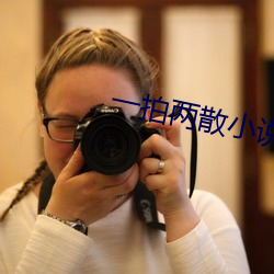 一拍两散小说 （弃甲负弩）