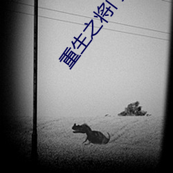 重生(shng)之将(jiāng)门千金