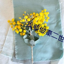 我要做秦二世 （力戒）