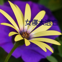 尊龙凯时·(中国)官方网站