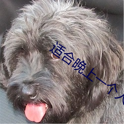 適合晚上一個人看的直播平台
