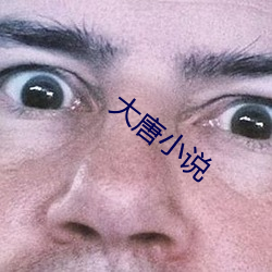 大唐小说