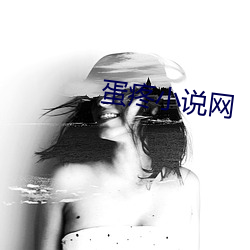 蛋疼小说网(網)