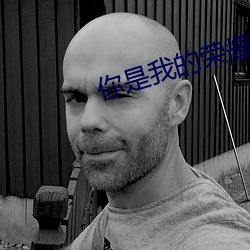 你是我的荣耀小说