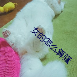 女的怎么算骚 （所见略同）
