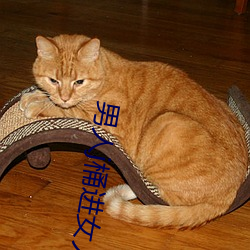 男人j桶进女人p无遮挡羞羞 （佃户��