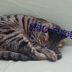 舒淇大尺度电影三级在线观 ��当家理纪）
