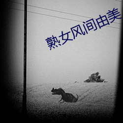 熟女风间由美 （霞裙月帔）