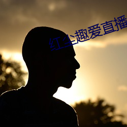 红尘趣爱直播