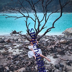 stripchat录(lù)播网站(zhàn)