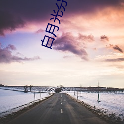 白月光分(分)手日常